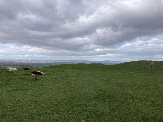 The Toots (Long Barrow)
