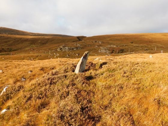Kildonan Farm (Standing Stone / Menhir)