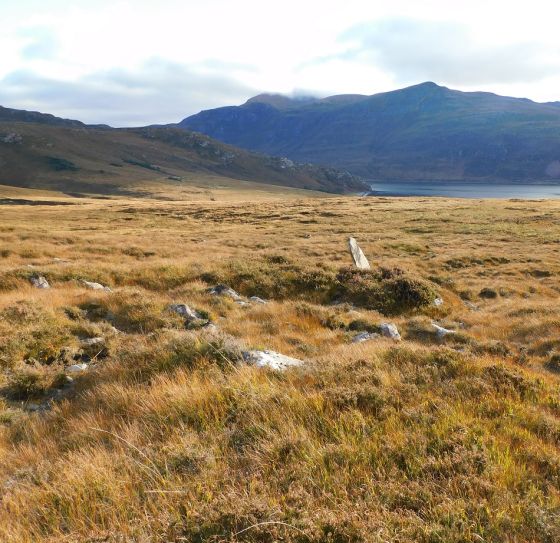Kildonan Farm (Standing Stone / Menhir)