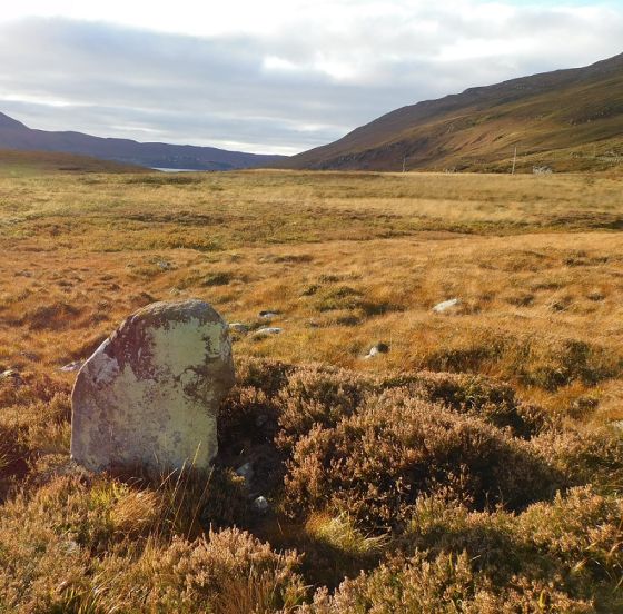 Kildonan Farm (Standing Stone / Menhir)