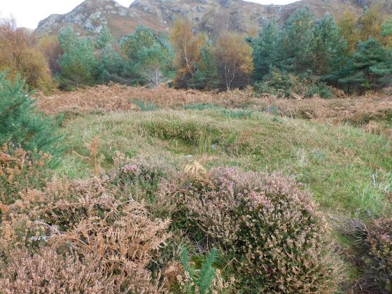 Achtercairn 1 (Cairn(s))