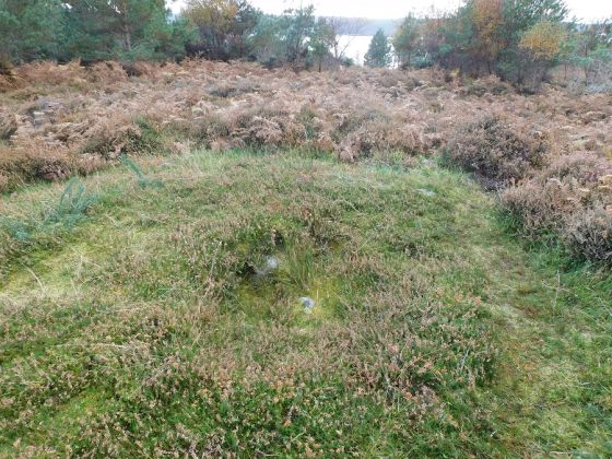 Achtercairn 1 (Cairn(s))