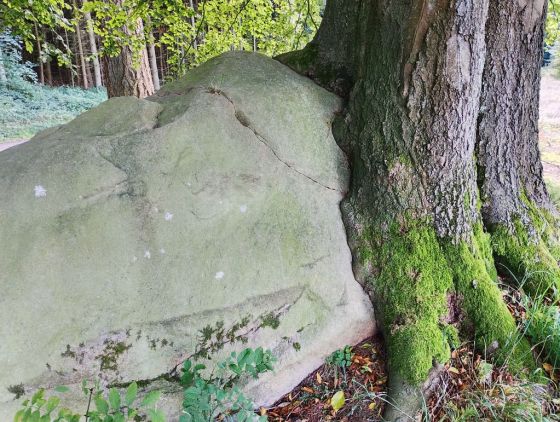 Kroghenlund Runddysse (Dyssekammer)