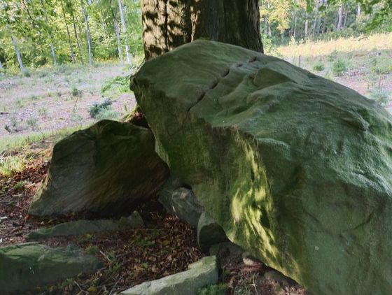 Kroghenlund Runddysse (Dyssekammer)