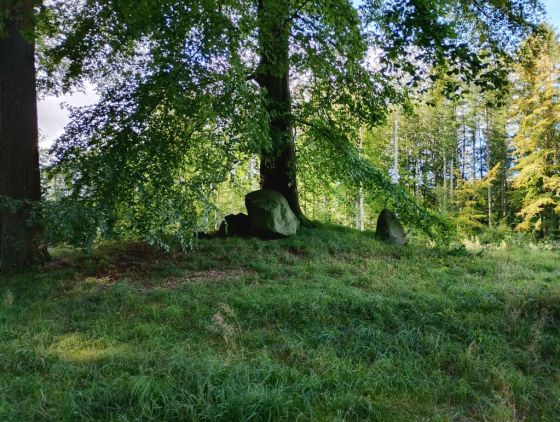 Kroghenlund Runddysse (Dyssekammer)