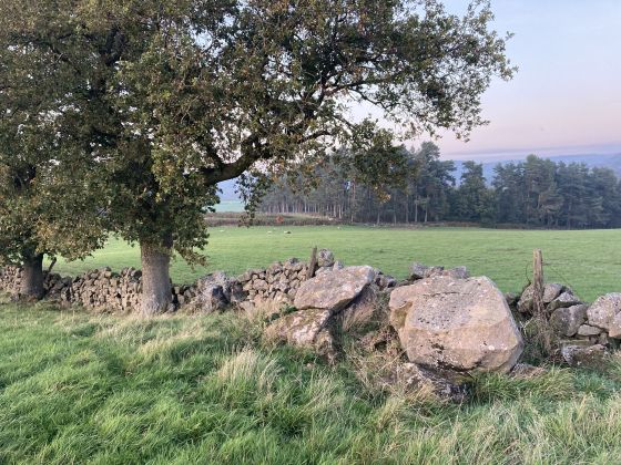 Nine Stones Close (Stone Circle)