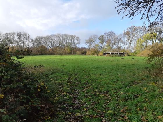 Chastleton Barrow (Fort) (Hillfort)