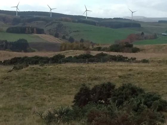 Hill Of Alyth (Cairn(s))