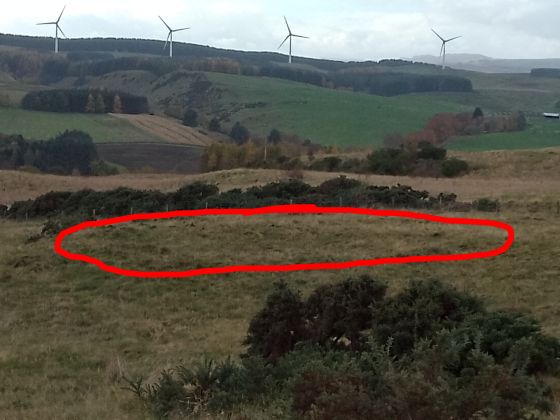 Hill Of Alyth (Cairn(s))