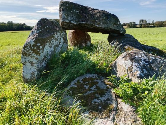 Vester Skjerninge Jættestue (Passage Grave)