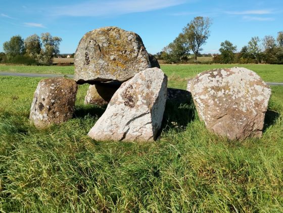 Vester Skjerninge Jættestue (Passage Grave)