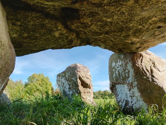 Vester Skjerninge Jættestue (Passage Grave)