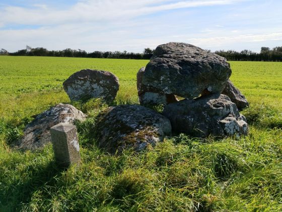Vester Skjerninge Jættestue (Passage Grave)