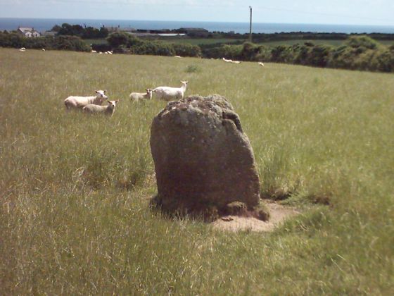 Castallack (Cup Marked Stone)