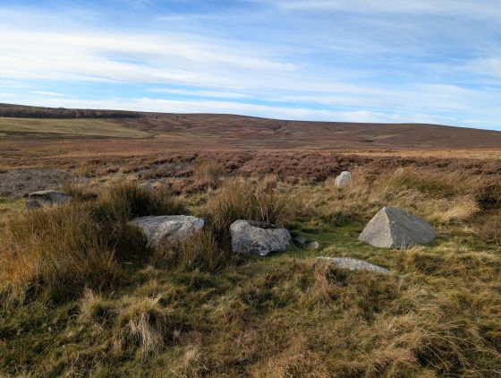 Nine Stone Rig (Stone Circle)
