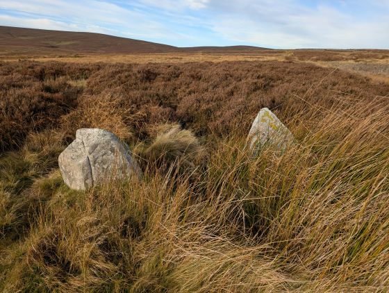Nine Stone Rig (Stone Circle)