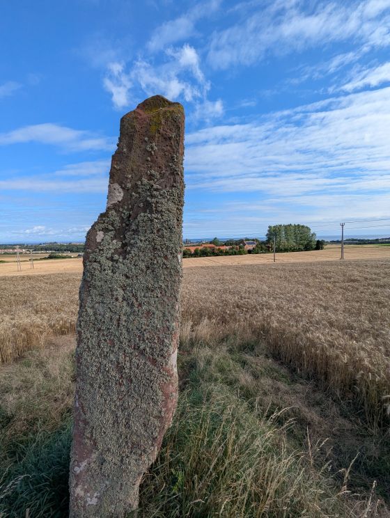 Easter Broomhouse Standing Stone
