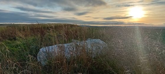 Auchmaliddie (Stone Circle)