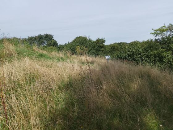 Skjerningehøj (Passage Grave)