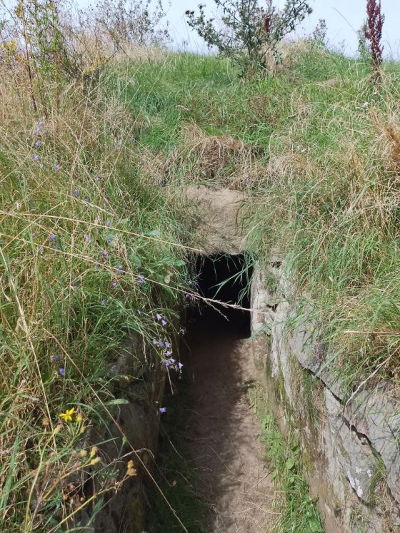 Skjerningehøj (Passage Grave)