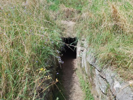 Skjerningehøj (Passage Grave)