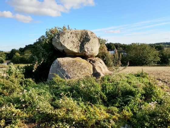 Vester Aaby Dyssekammer