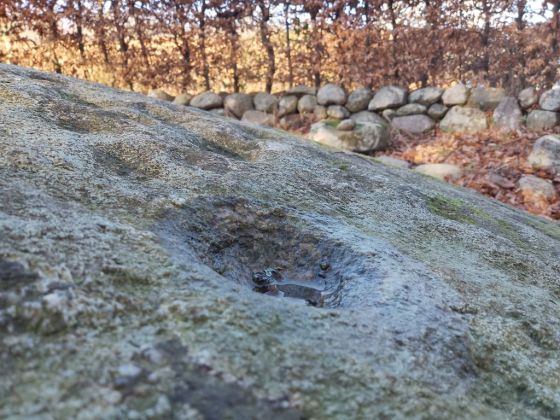 Æbleskivestenen (Cup and Ring Marks / Rock Art)