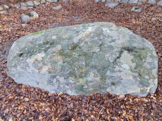 Æbleskivestenen (Cup and Ring Marks / Rock Art)
