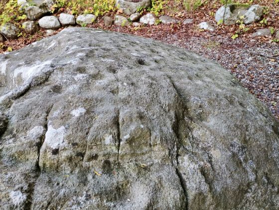 Æbleskivestenen (Cup and Ring Marks / Rock Art)