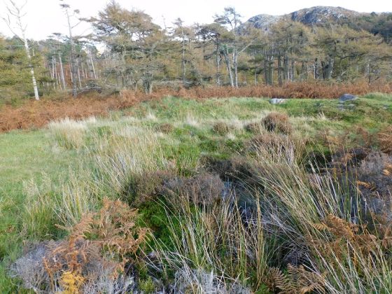 Achtercairn Settlement