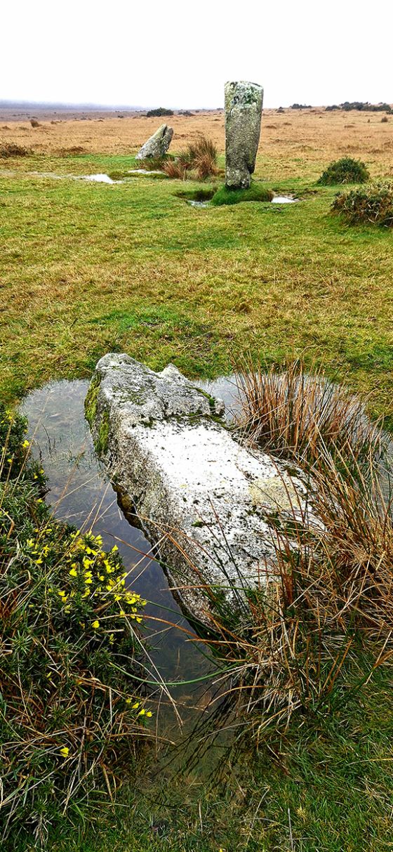 Trippet Stones (Stone Circle)