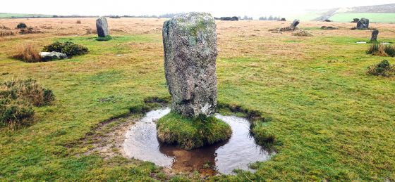 Trippet Stones (Stone Circle)