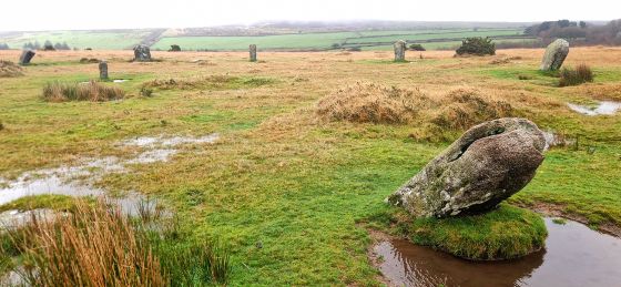 Trippet Stones (Stone Circle)
