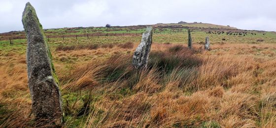 Stripple Stones
