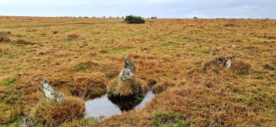 Stannon (Stone Circle)