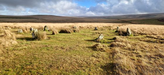 Ringmoor Cairn Circle and Stone Row