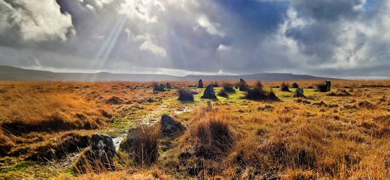 Ringmoor Cairn Circle and Stone Row