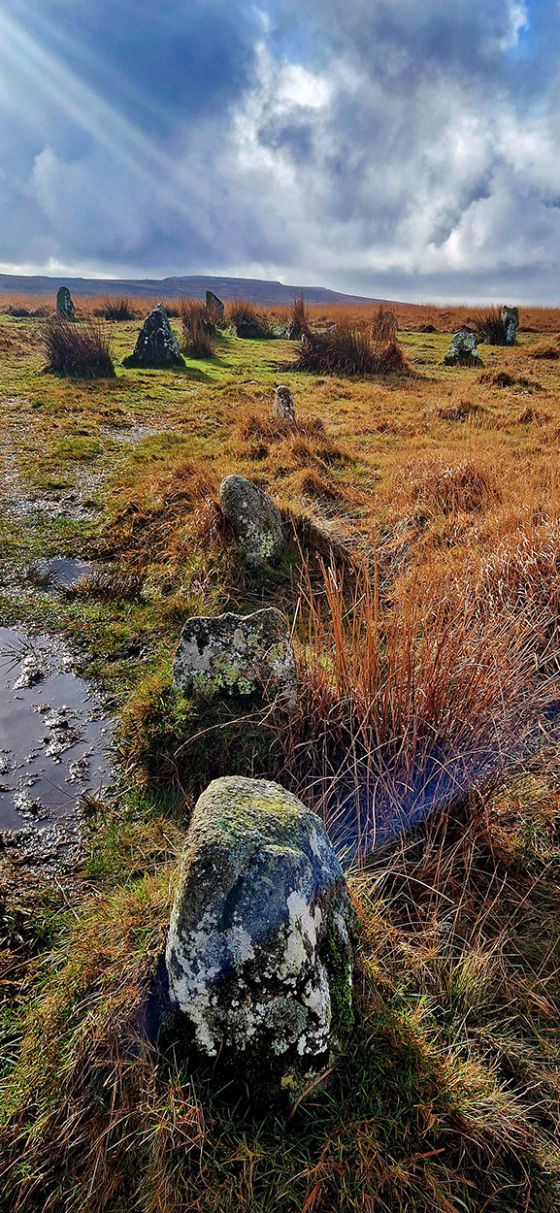 Ringmoor Cairn Circle and Stone Row