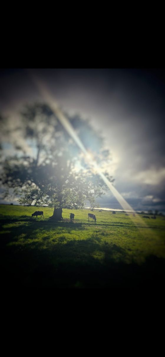 Long Meg & Her Daughters