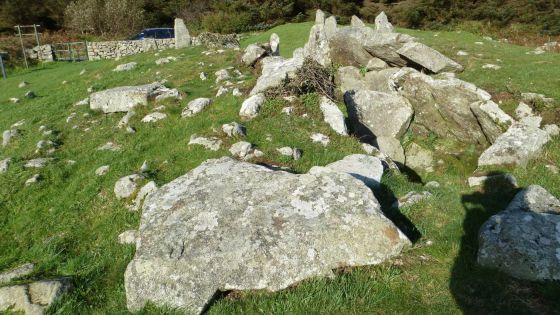 Ballymacdermot (Court Tomb)