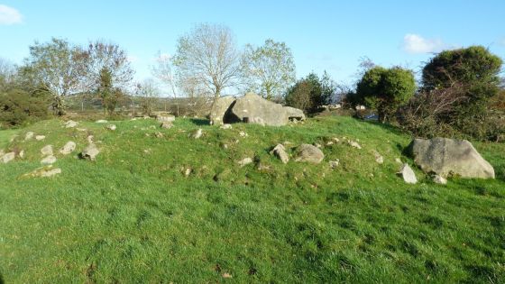 Clonlum South (Portal Tomb)