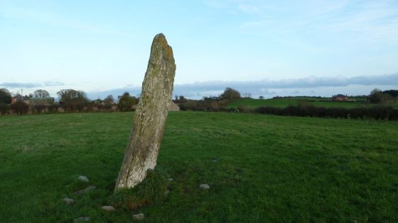 Cuchulains Stone (Rathiddy) (Standing Stone / Menhir)