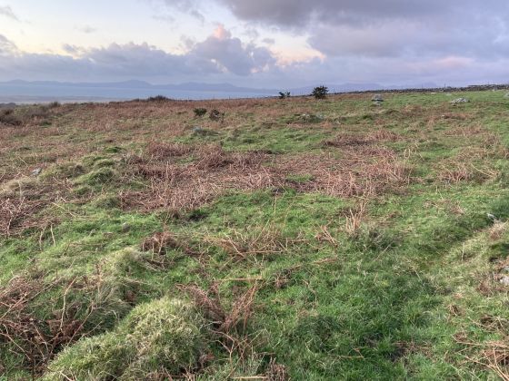 Cors y Gedol Enclosure