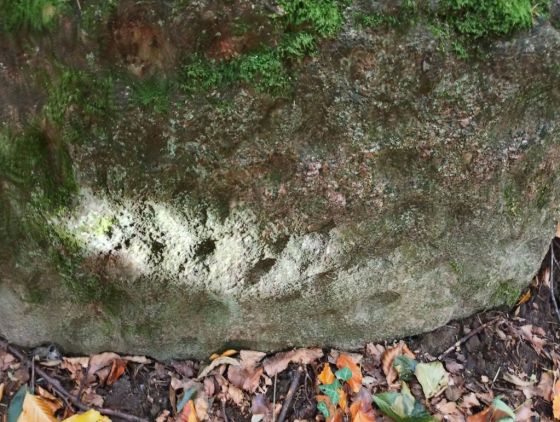 Bjørnemose Skålsten (Cup and Ring Marks / Rock Art)