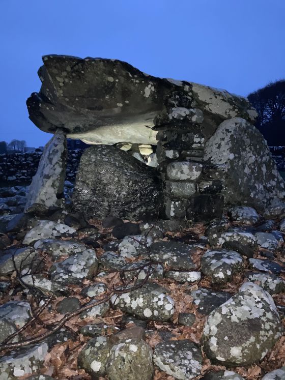 Dyffryn Ardudwy (Dolmen / Quoit / Cromlech)