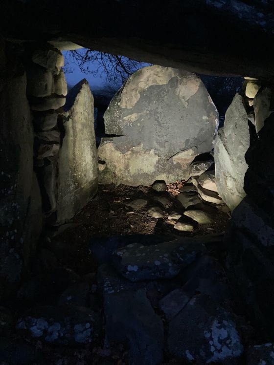 Dyffryn Ardudwy (Dolmen / Quoit / Cromlech)