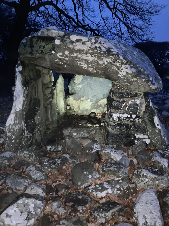 Dyffryn Ardudwy (Dolmen / Quoit / Cromlech)
