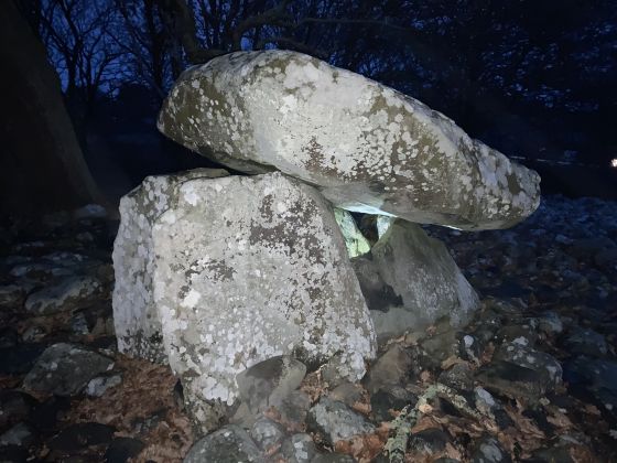 Dyffryn Ardudwy (Dolmen / Quoit / Cromlech)