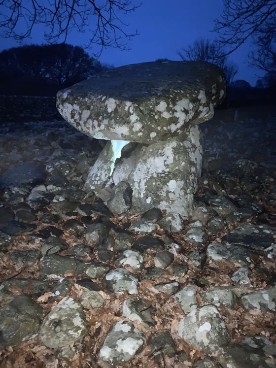 Dyffryn Ardudwy (Dolmen / Quoit / Cromlech)