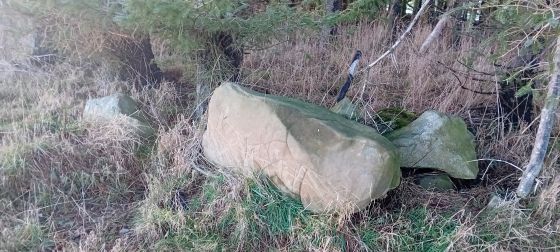 Ardlair (Stone Circle)